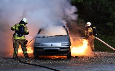 Driver dead following vehicle collision on Highway 17