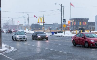 Three killed in fatal collision near Alliston