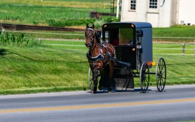 Person seriously injured following crash involving horse and buggy in Wellesley Township